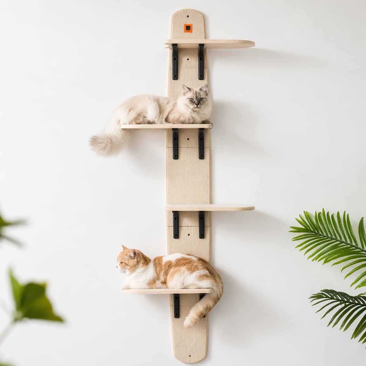Arbre à chat mural | VOFORD étagère
