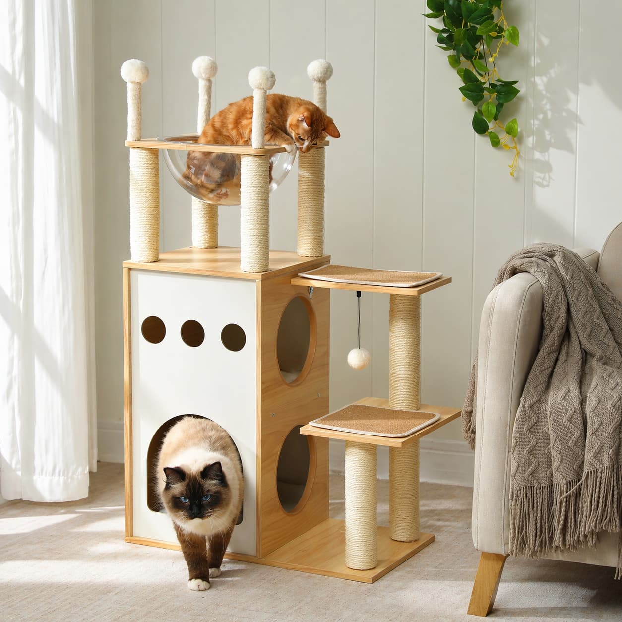 Arbre à chat en bois | PETEPELA