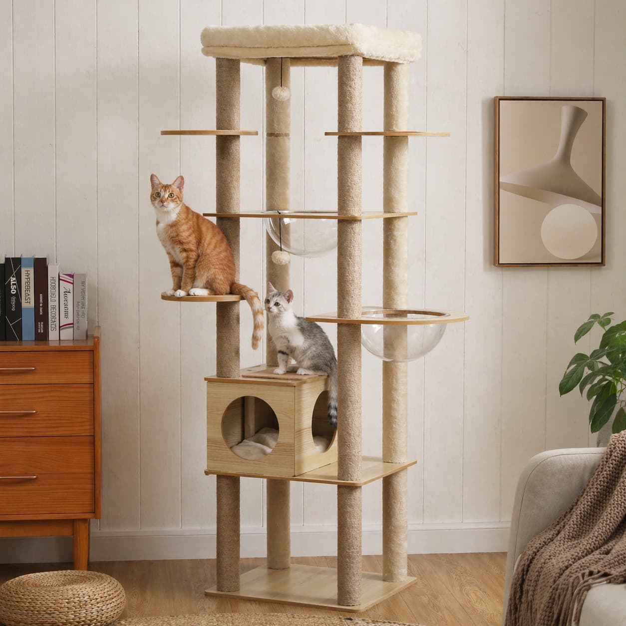 Arbre à chat design | PAWZ Road