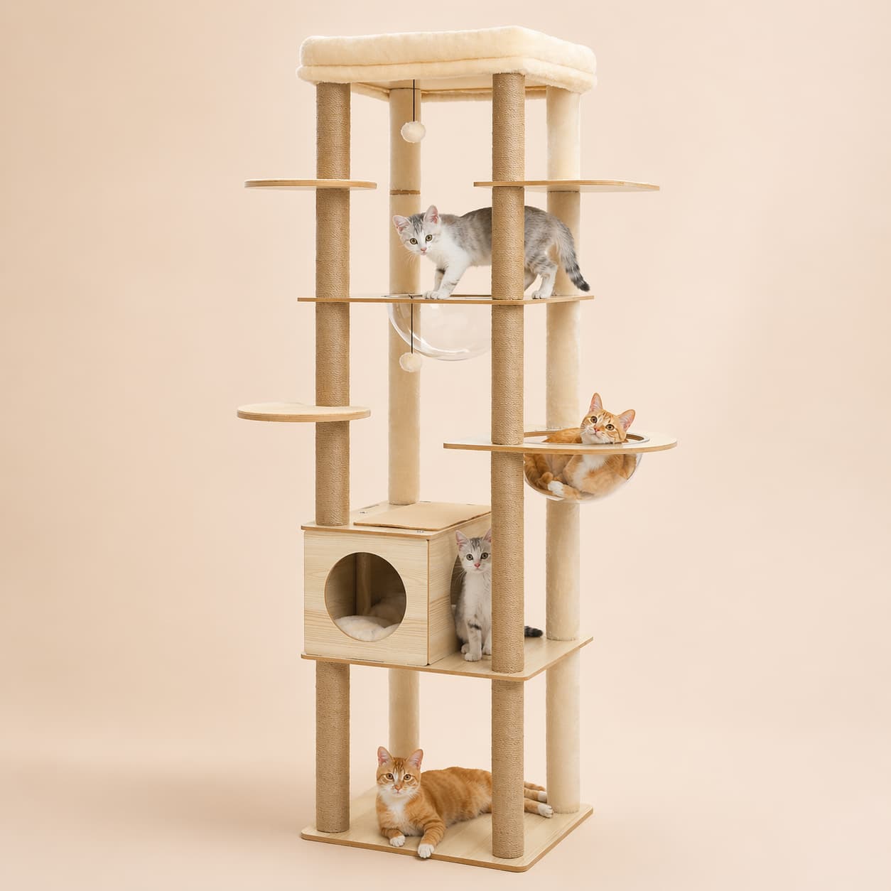 Arbre à chat design | PAWZ Road