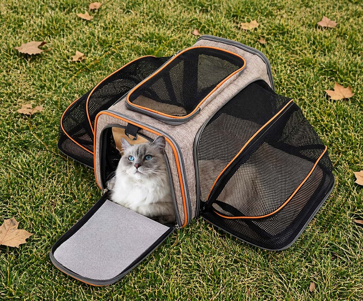 Panier de transport pour chat | Extension