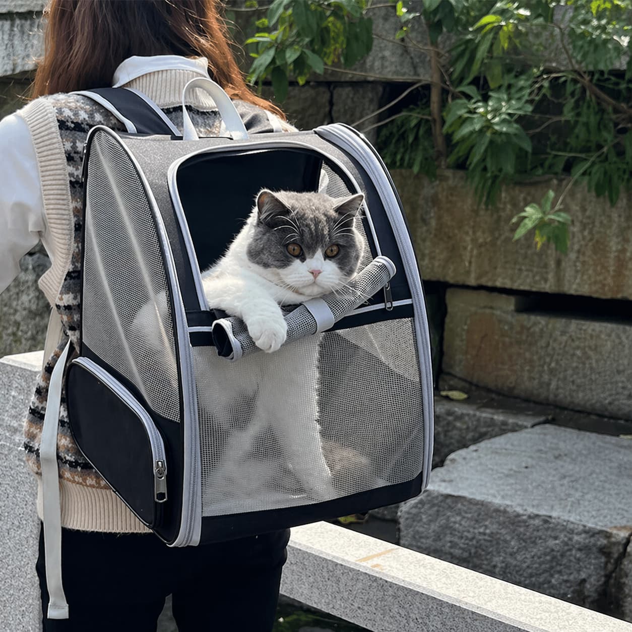 Panier de transport pour chat | sac respirant