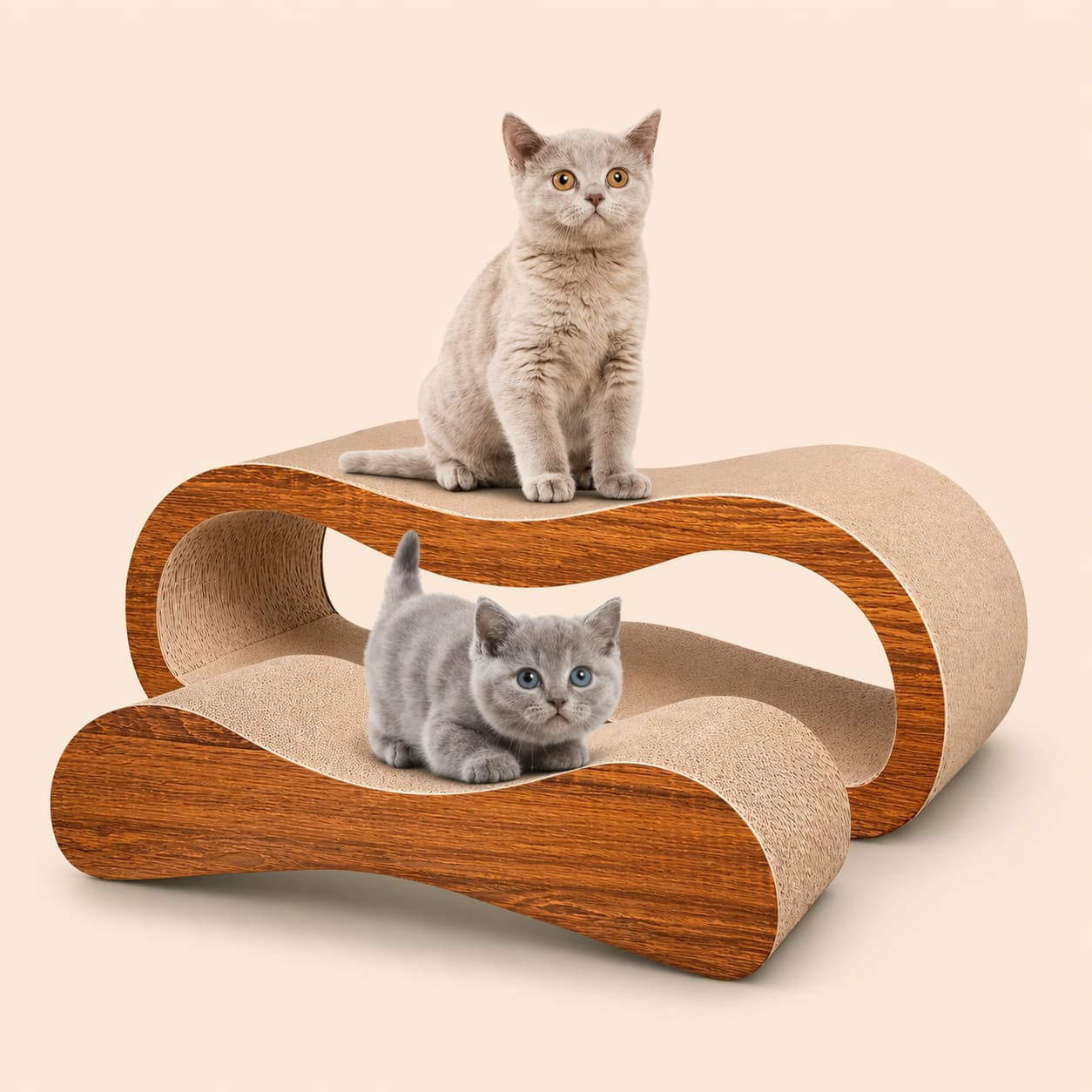 Griffoir pour chat design | modulable