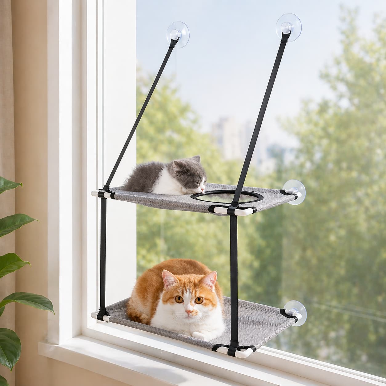 Hamac pour chat fenêtre | Simple ou double étage