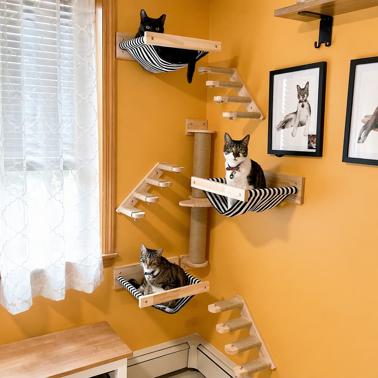 Hamac mural pour chat | en bois