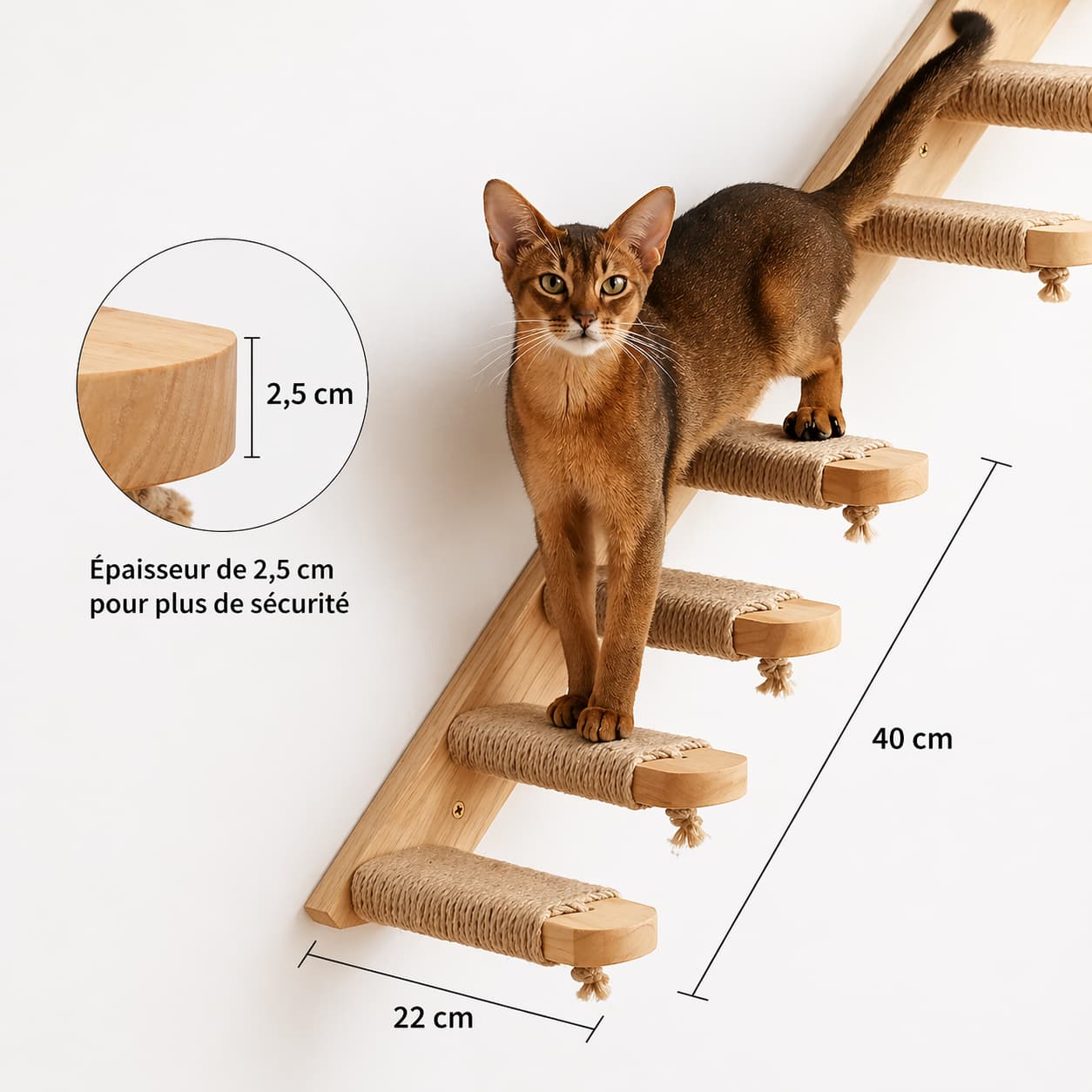 Arbre à chat mural | par pièce