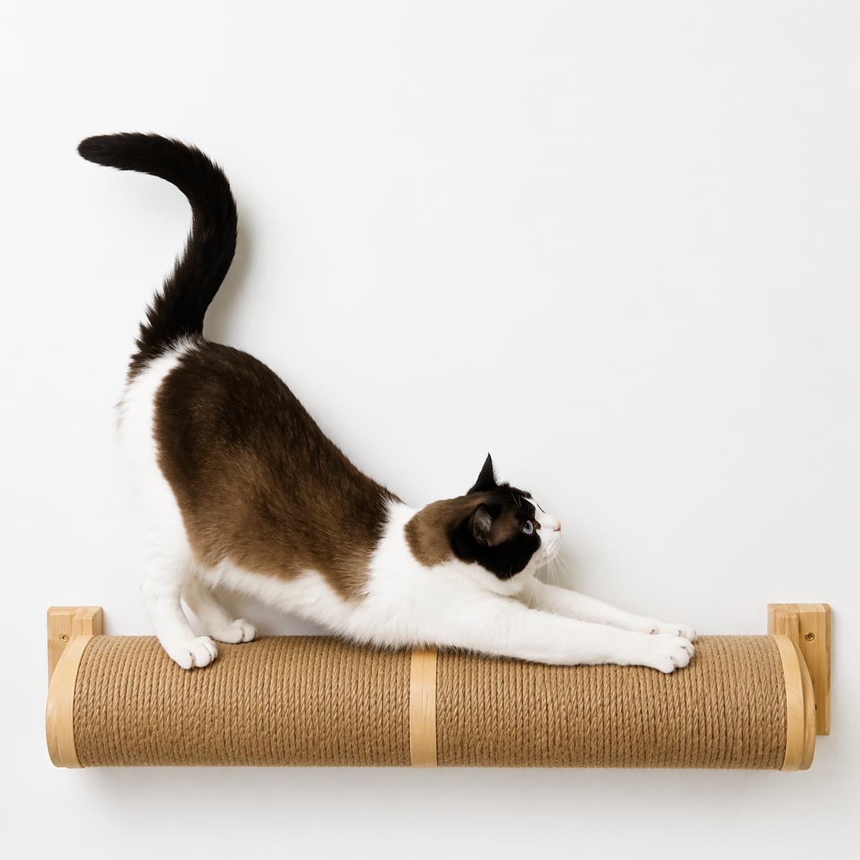 Poteau griffoir pour chat | 75 cm