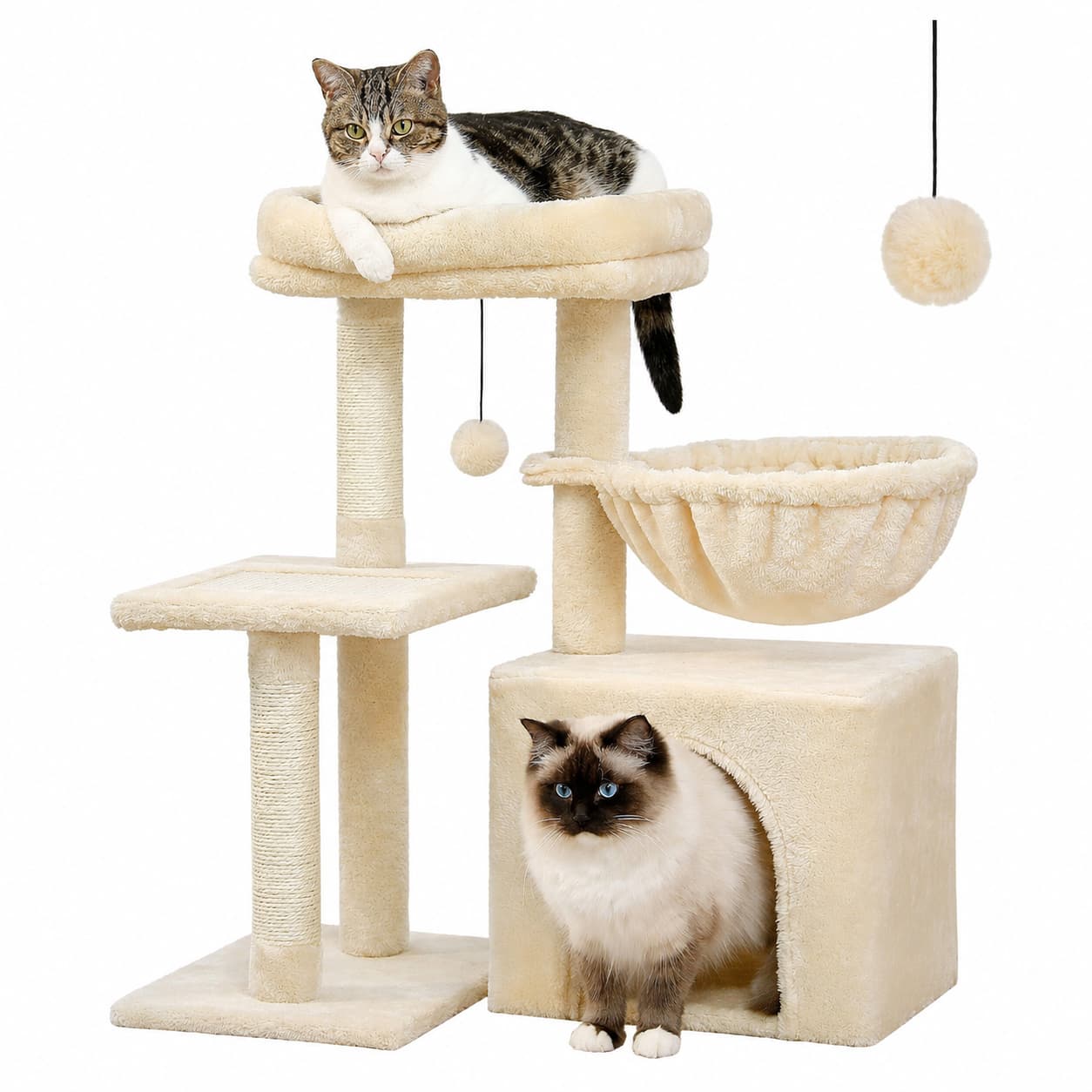 Arbre à chat en bois | PAWZ Road