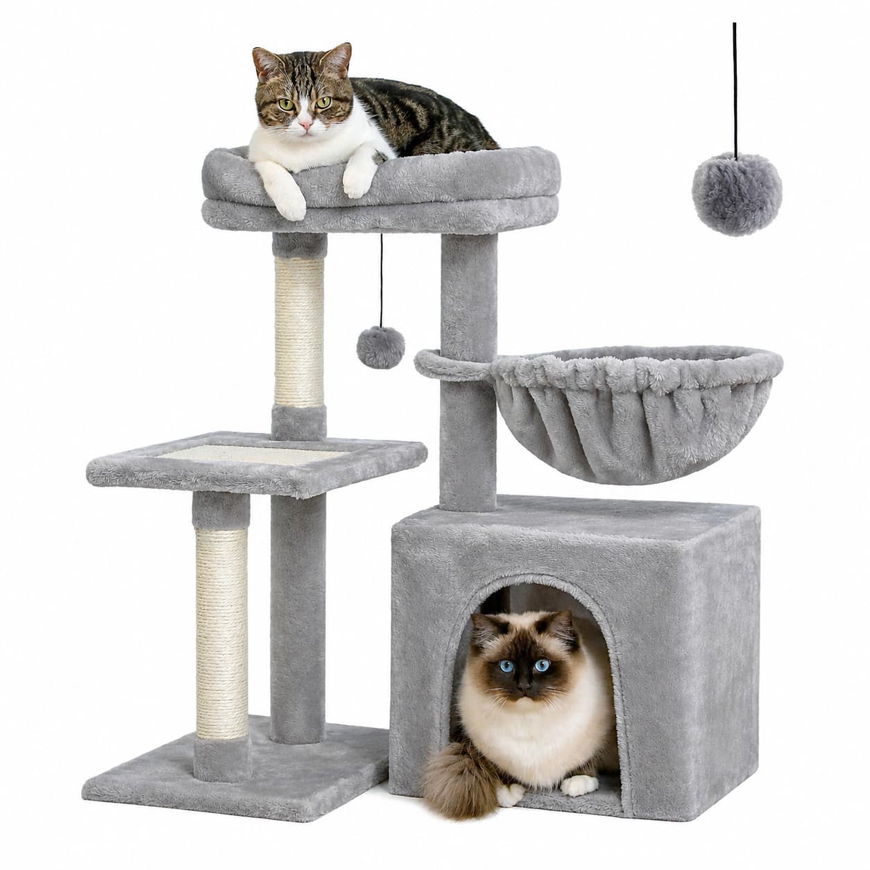 Arbre à chat en bois | PAWZ Road