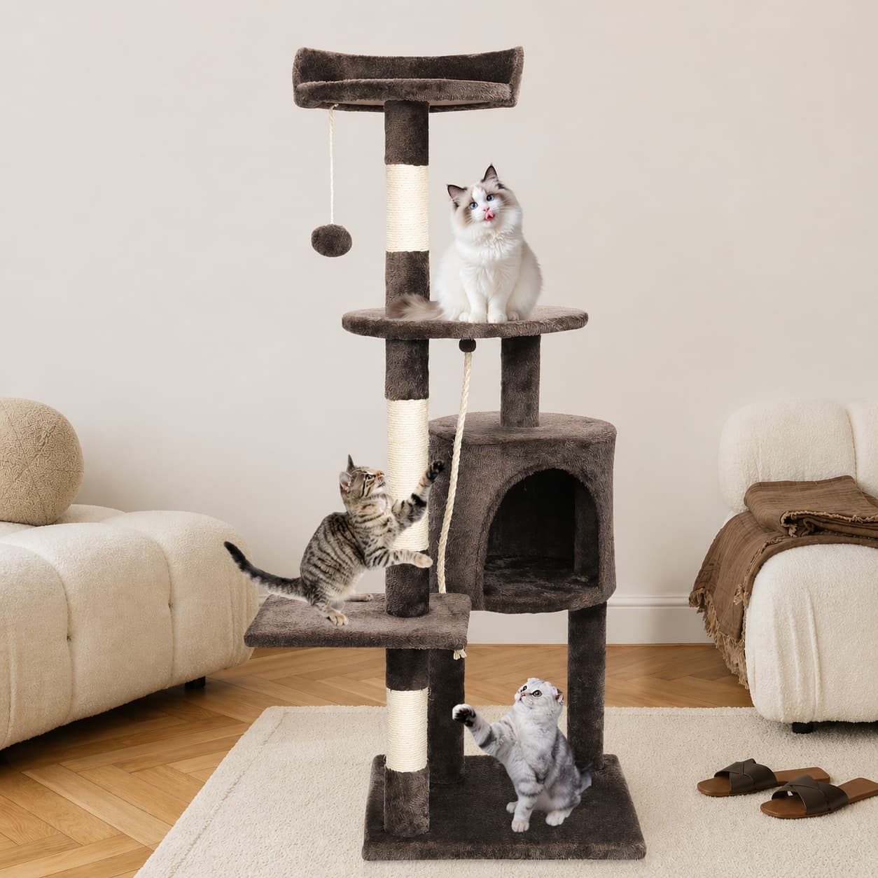 Arbre à chat en bois | Passerscat