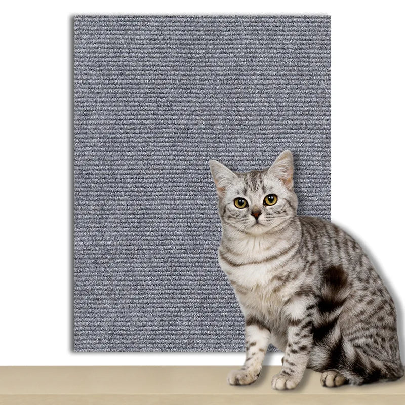 Griffoir pour chat | protection canapé