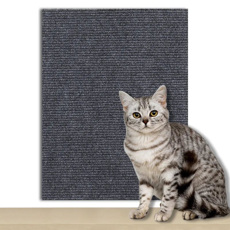 Griffoir pour chat | protection canapé