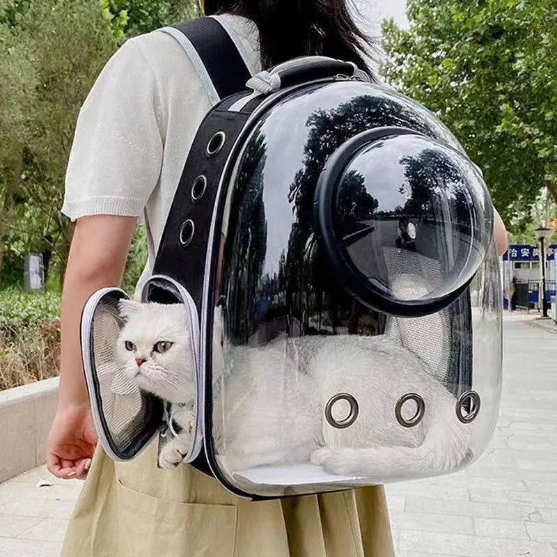 Panier de transport pour chat | sac bulle modifiable