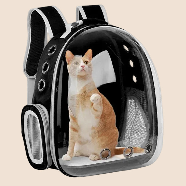 Panier de transport pour chat | sac bulle modifiable