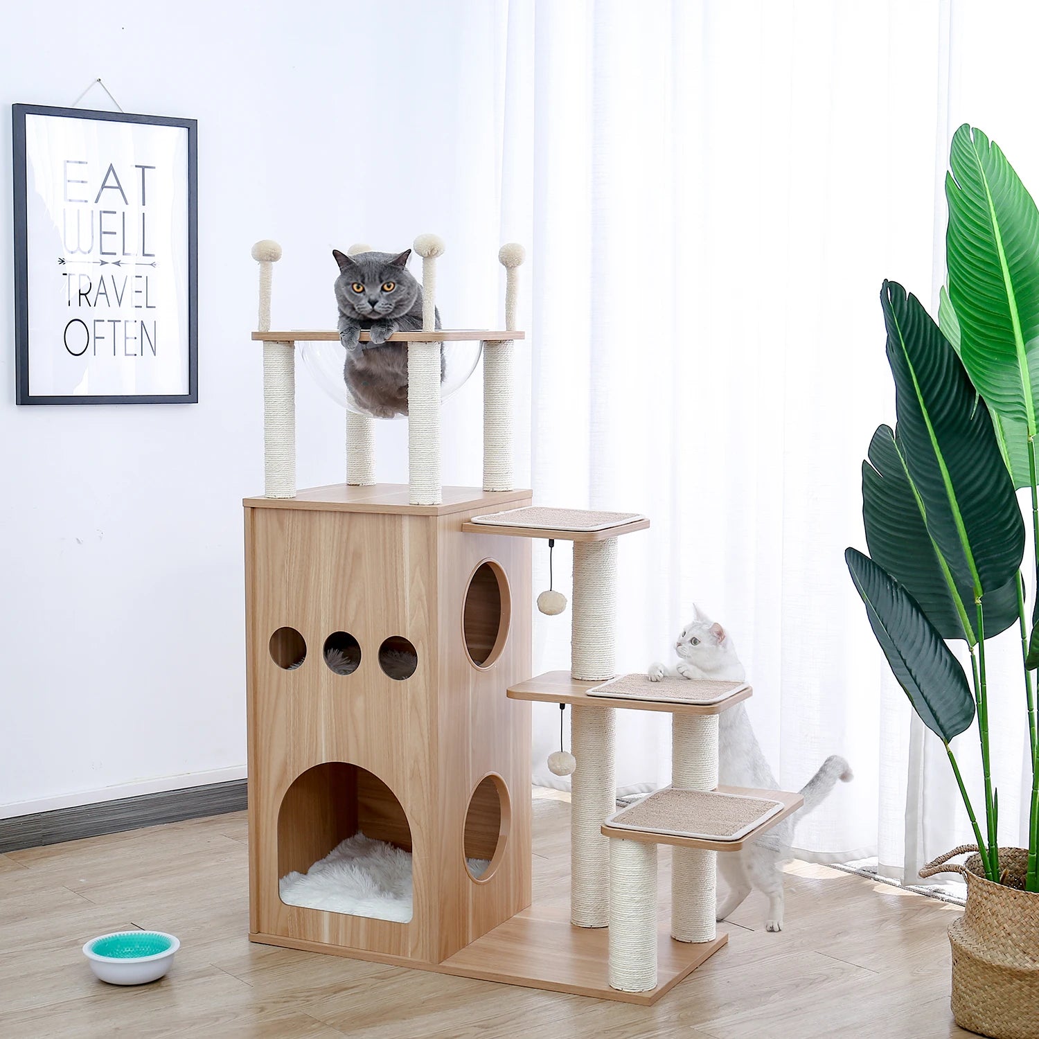 Arbre à chat design | PAWZ Road