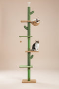 Arbre à chat XXL | PAWZ Road