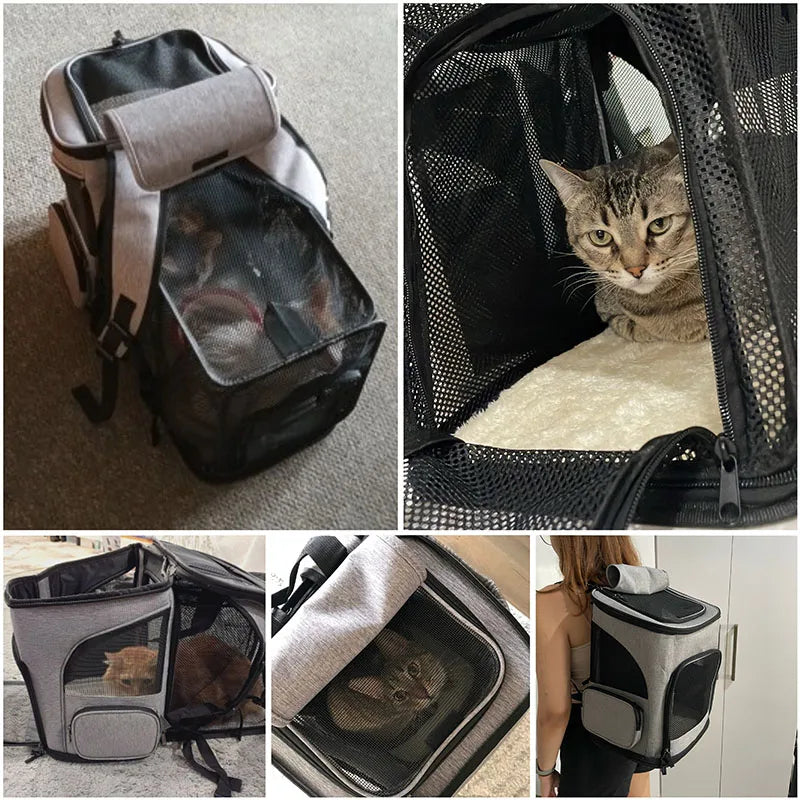 Panier de transport pour chat | sac extensible