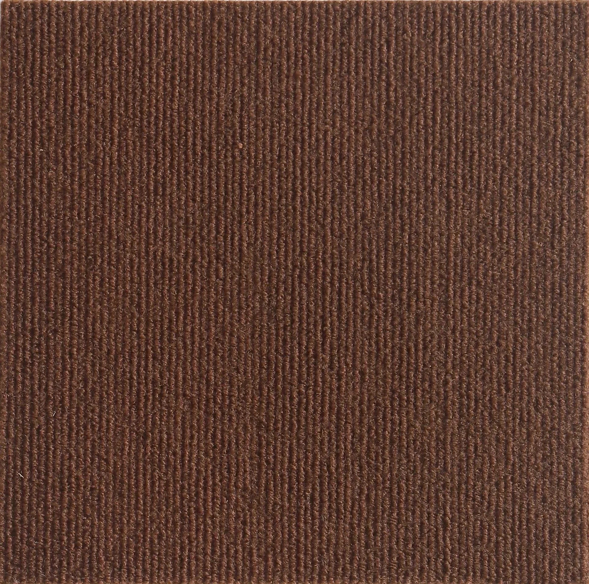 Griffoir pour chat tapis | 1m ou 2m