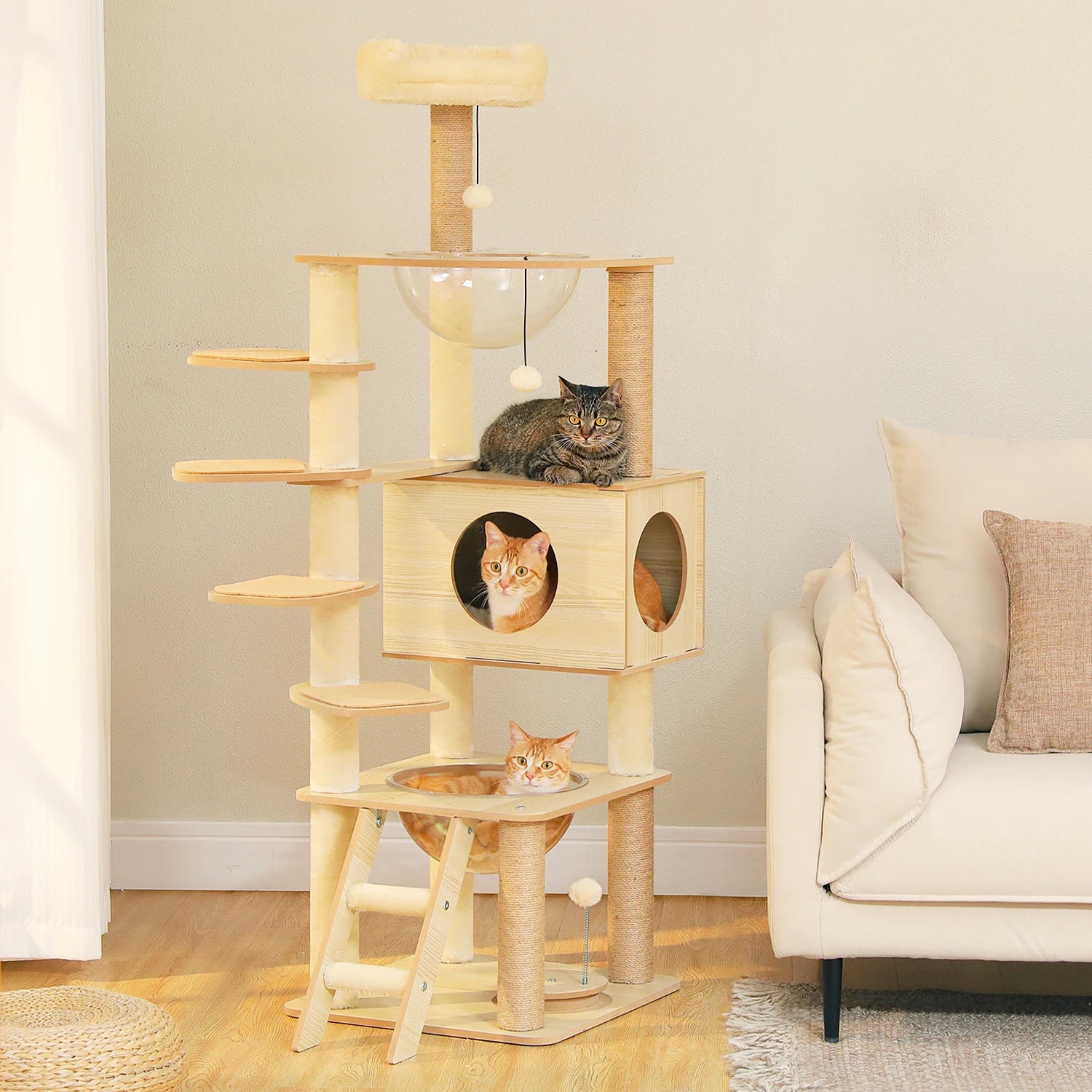 Arbre à chat design | PAWZ Road
